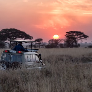 Bandipur tiger reserve from Bangalore