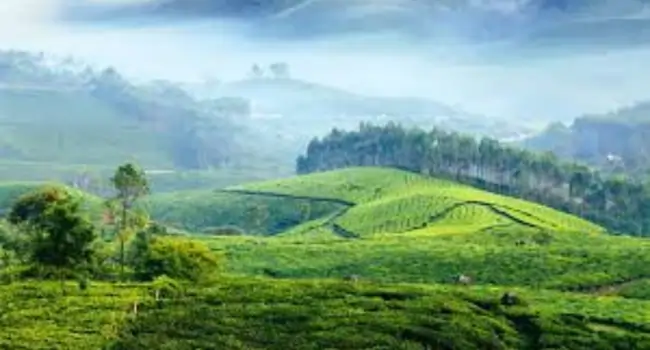 Bangalore to outsatation